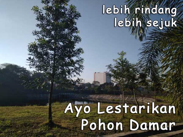 10 Poster Pelestarian Tumbuhan Langka Di Indonesia