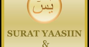 Aplikasi Yasin Tahlil & Doa Arwah Terbaik